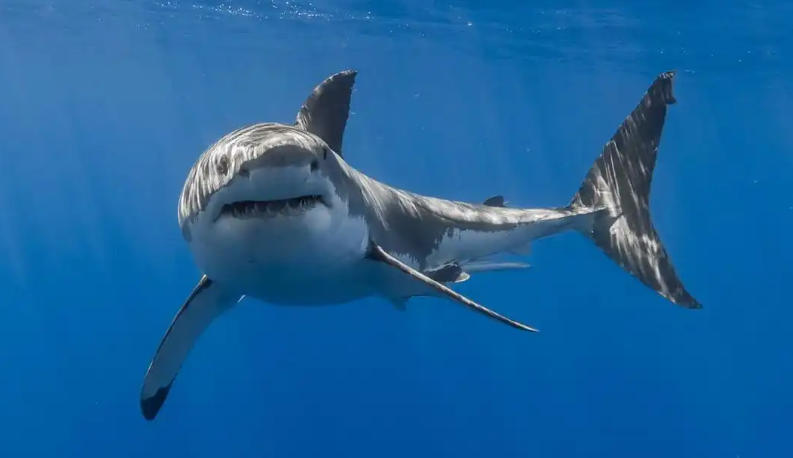 江苏安科防腐工程有限公司轮播图3